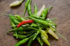 Chile peppers, Market on Mahe Island, Seychelles