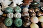 Shells for sale in market, Mahe Island, Seychelles