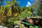 Seychelles, La Digue, ox-cart transport