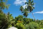 Seychelles, La Digue. Remote island path