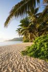 Seychelles, Mahe Island, Anse Marie-Louise, dawn