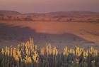 Landscape View, Serengeti National Park, Tanzania