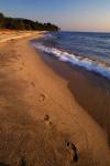 Africa, Tanzaniz, Lake Tanganika. Beach footprints