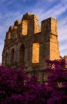 Ancient Roman Amphitheater with flowers, El Jem, Tunisia