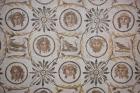 Tunisia, El Jem, El Jem Museum, Roman-era mosaic