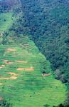 Abutting Agricultural Development, Uganda