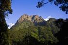 Portal Peaks in the Rwenzori, Uganda