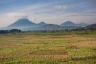 Farmland around Kisoro, Kigezi, Africa