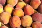 Peaches for Sale at a Fruit and Vegetable Market, Tripoli, Libya.