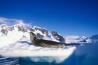 Antarctica, Boothe Island, Leopard Seal, iceberg