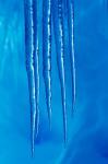 Antarctica, Icicles hanging from the roof of a glacial ice cave.