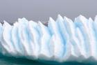 Iceberg pattern off the western Antarctic peninsula
