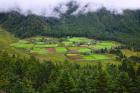 Houses and Farmlands, Gangtey Village, Bhutan