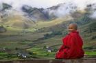 Monk and Farmlands in the Phobjikha Valley, Gangtey Village, Bhutan