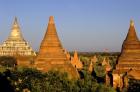 Temples of Bagan Surrounded by Trees, Bagan, Myanmar