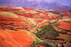 China, Yunnan, Tilled red laterite, Agriculture