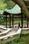 Tai Chi Chuan in the Chinese Garden Pavilion at Kowloon Park, Hong Kong, China