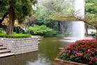 Pond With Fountain in Kowloon Park, Tsim Sha Tsui Area, Kowloon, Hong Kong, China