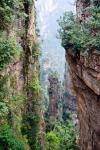 Stone Spires, Zhangjiajie National Forest Park, Hunnan, China