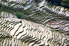 Flooded Bada Rice Terraces, Yuanyang County, Yunnan Province, China