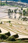 Flooded Ai Cun Rice Terraces, Yuanyang County, Yunnan Province, China