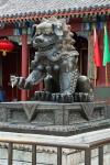 China, Beijing. Bronze lion sculpture, Fragrant Hill