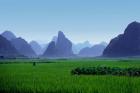 Farmland with the famous limestone mountains of Guilin, Guangxi Province, China