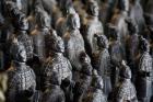 Imperial terra cotta warriors in battle formation