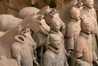 Terra Cotta Warriors and Horses at Emperor Qin Shihuangdi's Tomb, China