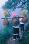 Zhuang Girls Carrying Hay, China