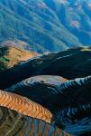 Mountainside Rice Terraces, China