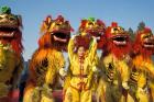 Lion dance performance celebrating Chinese New Year Beijing China - MR