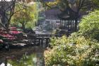 Landscape of Traditional Chinese Garden, Shanghai, China