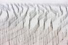 Agriculture, Bamboo sticks, drying seaweed, Xiapu, China