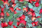 China, Chongqing, Strawberries in fruit market