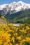 Wonderful Mountain Scenery Of Svanetia, Georgia