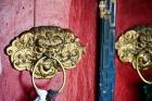 Dragon Head Door Grip, Likir, Ladakh, India