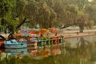 Boat reflection, Delhi, India