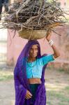 Woman Carrying Firewood on Head in Jungle of Ranthambore National Park, Rajasthan, India