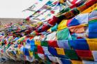 India, Jammu and Kashmir, Ladakh, Namshangla Pass prayer flags