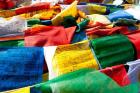 Prayer flags, Namshangla Pass, Ladakh, India