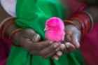 Woman and Chick Painted with Holy Color, Orissa, India