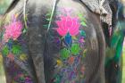 Elephant Decorated with Colorful Painting at Elephant Festival, Jaipur, Rajasthan, India