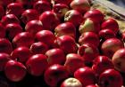 India, Ladakh, Leh. Apples at market in Lamayuru
