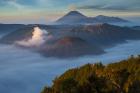 Mt Bromo and Mt Merapi, East Java, Indonesia