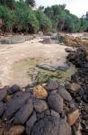 Beach Landscape, Java, Indonesia