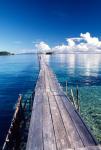 Wooden Jetty Extending off Kadidiri Island, Togian Islands, Sulawesi