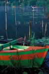 Colorful Boat Moored at Lake Bratan, Bali, Indonesia