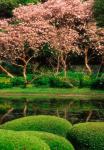 Reflecting Pond, Imperial Palace East Gardens, Tokyo, Japan