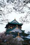 Osaka Castle and Cherry Blossom Trees, Osaka, Japan